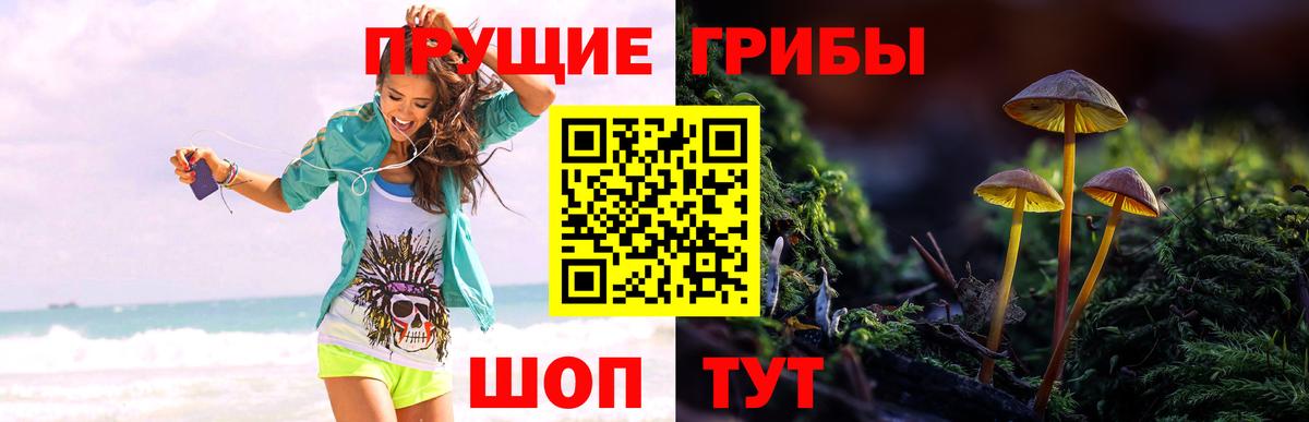 Галлюциногенные грибы GOLDEN TEACHER  Вход с VPN  Камышин 